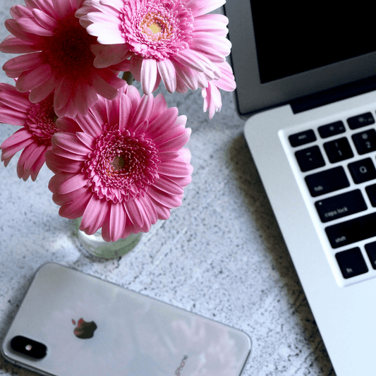 Best Times to Post Instagram Reels for Maximum Engagement - MRR Digital Storefront