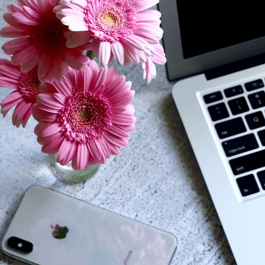 Best Times to Post Instagram Reels for Maximum Engagement - MRR Digital Storefront